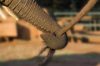 Elephant Interaction Experience 4
