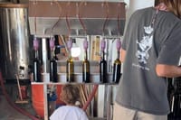 Kefalonia Wine Experience: Sklavos & Haritatos Estates 10