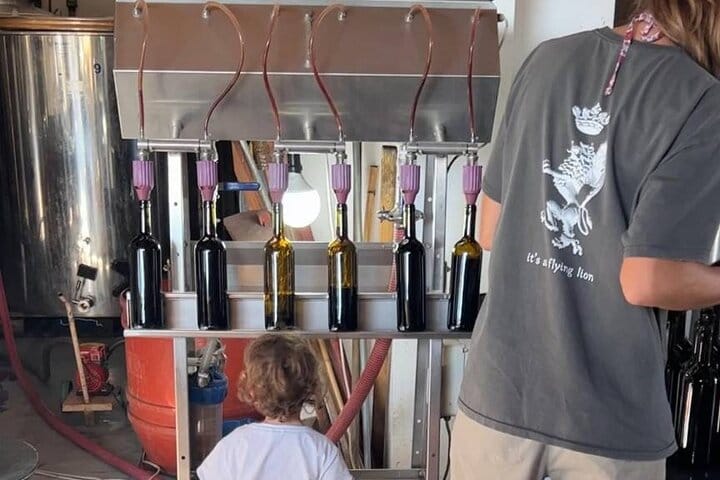 Kefalonia Wine Experience: Sklavos & Haritatos Estates 10