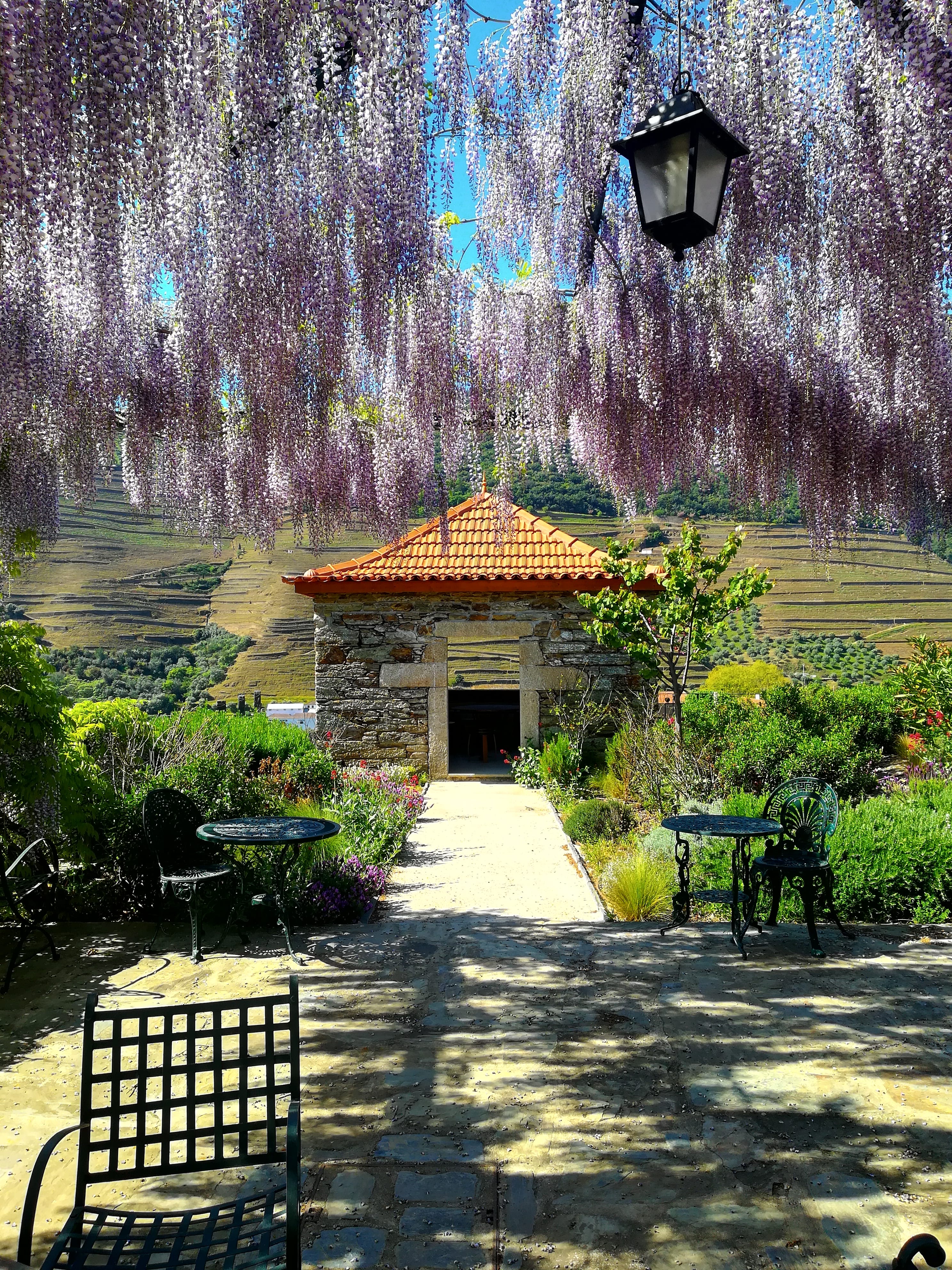 Exclusive Discovery Moment