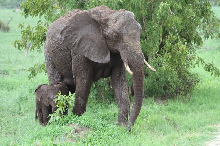 15 minutes scenic helicopter flight above Victoria Falls-Zimbabwe