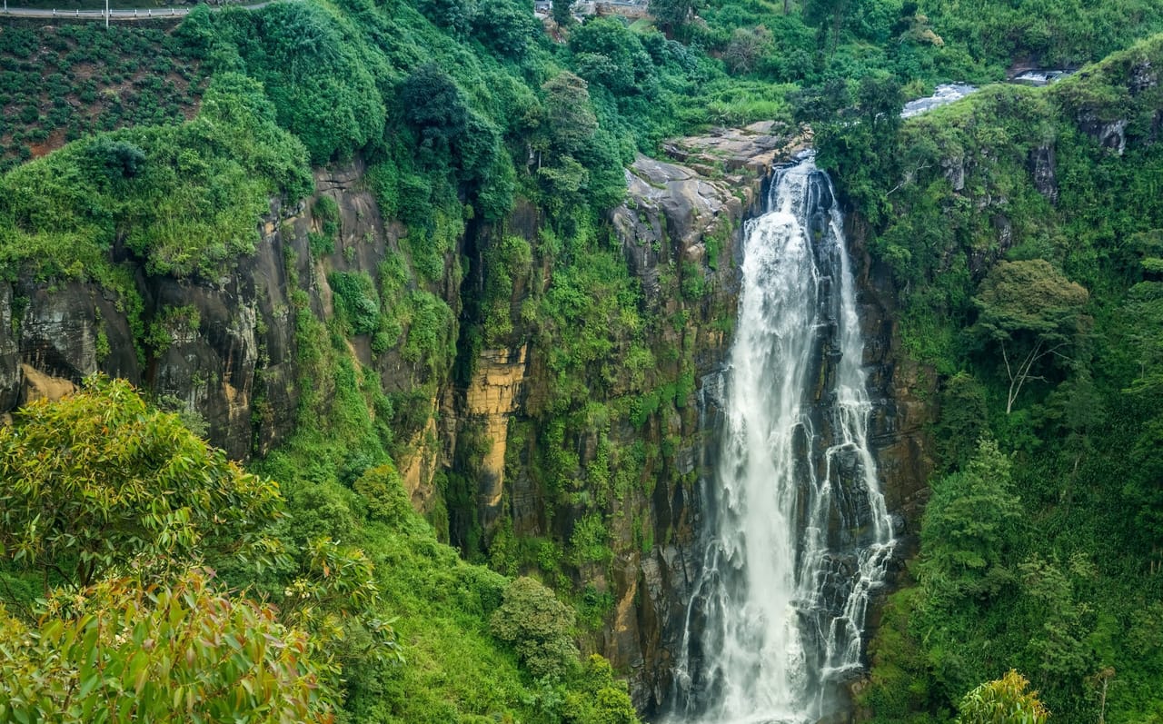 Waterfall Trail 4