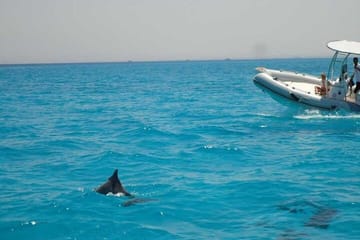 Private 4-Hour Speedboat and Snorkeling Tour in Hurghada