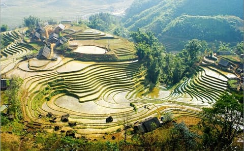 Private Full-Day Cultural Tour of Muong Hoa Valley, Sapa
