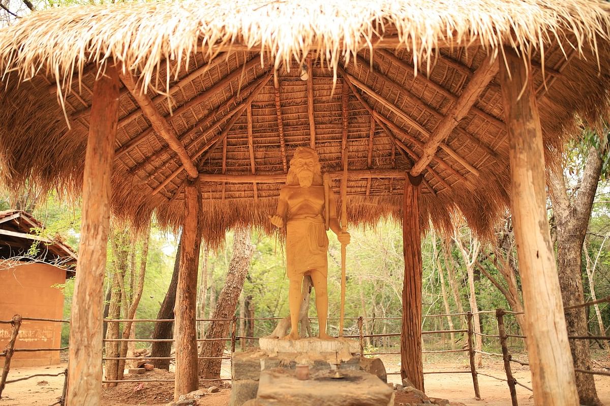 Discover the Vedda Culture: Remote Jungle Village Experience in Dambana