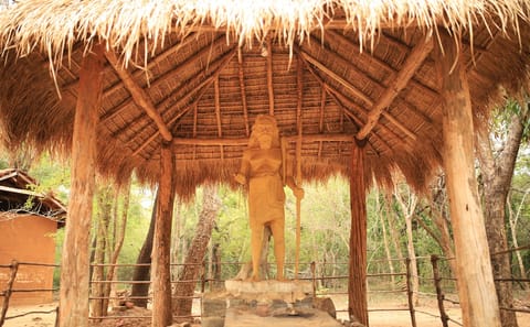 Jungle Village Exploration Tour in Remote Wilderness
