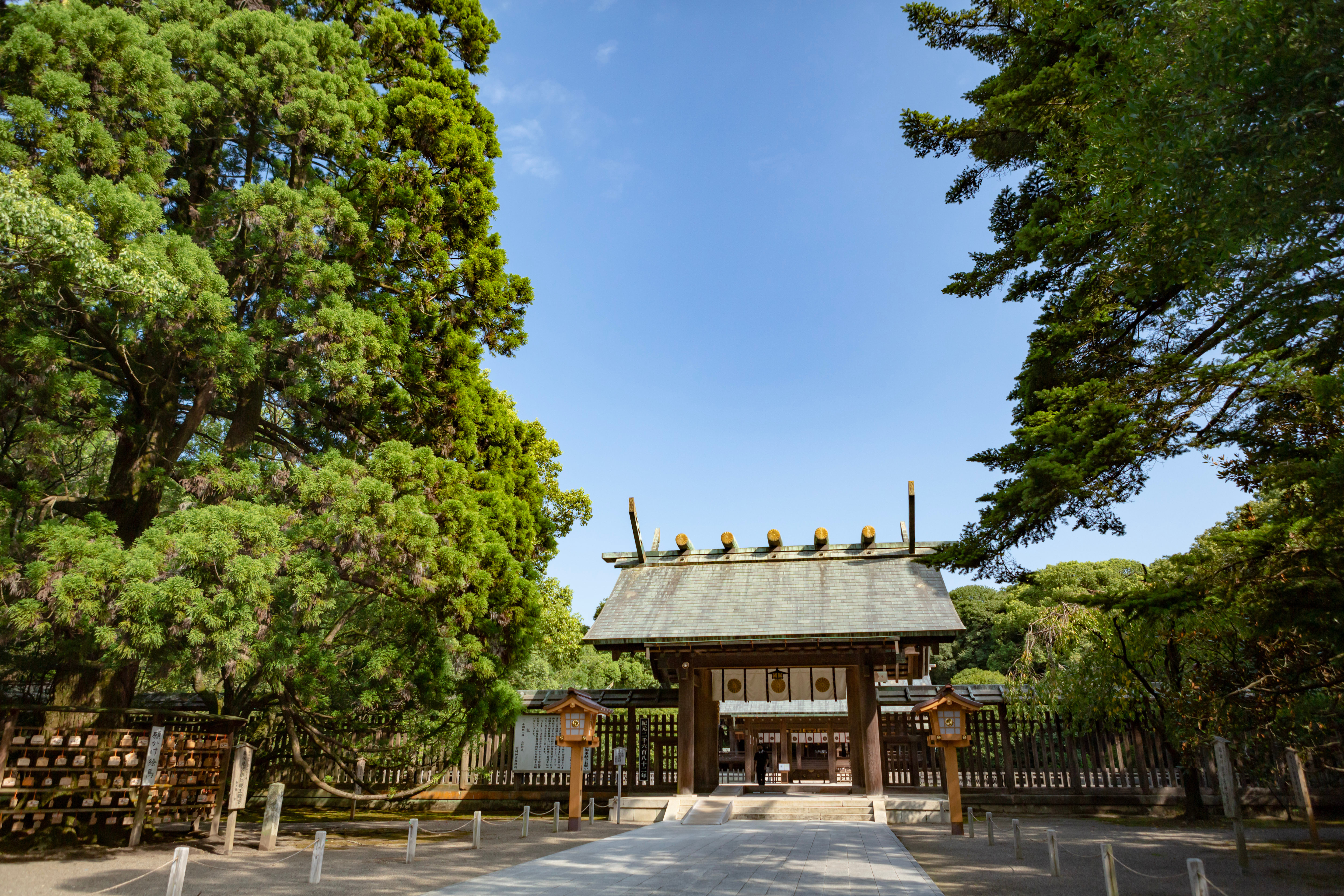 Miyazaki Custom Day Tour