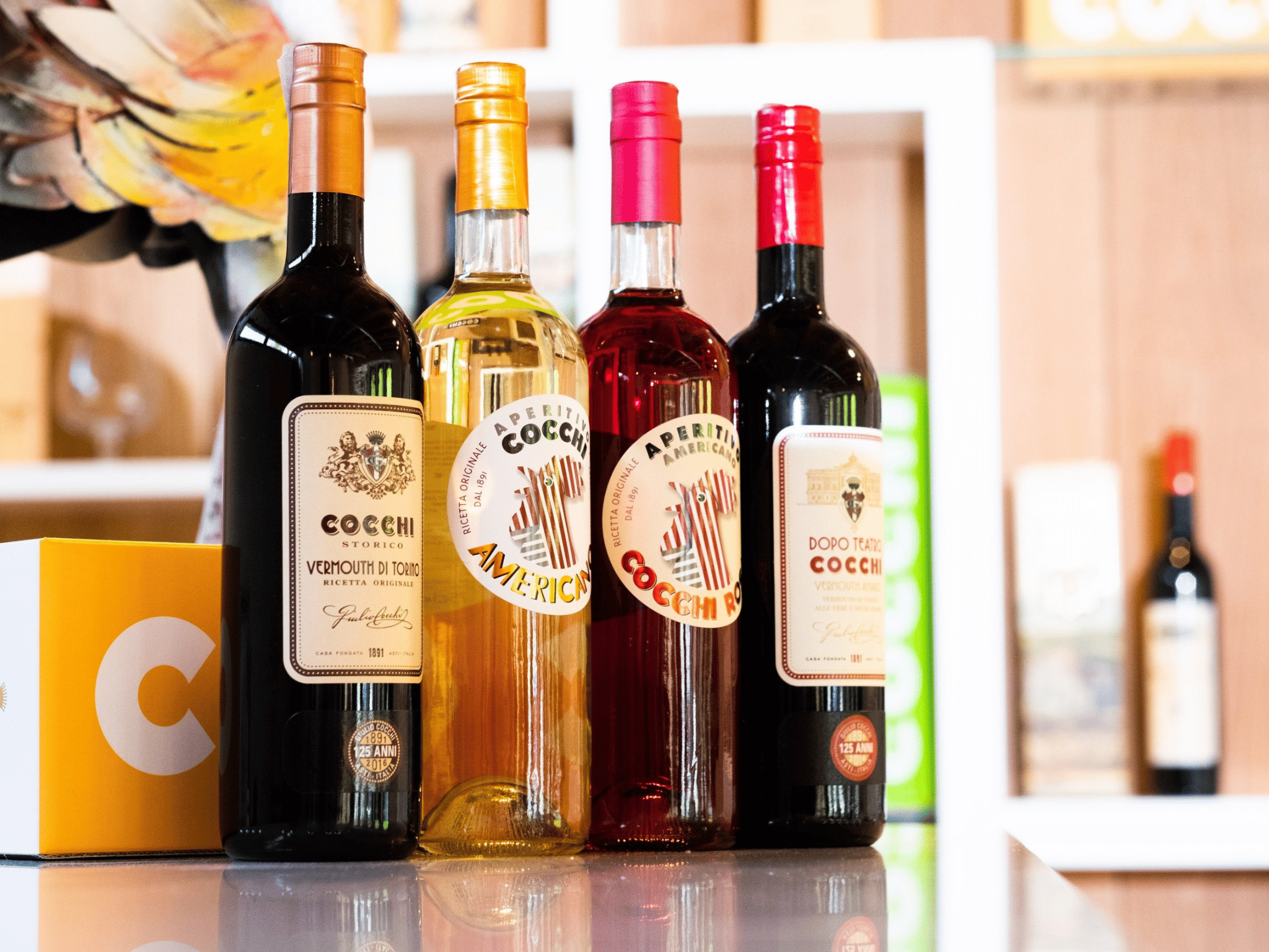 Vermouth Tasting in Turin City Center