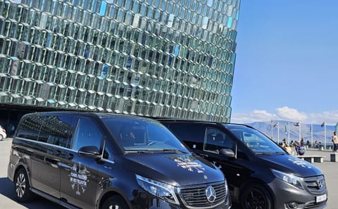 Private 6-Hour Reykjavík and Seltjarnarnes Tour with Transfer