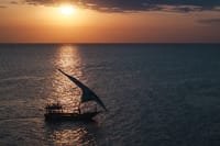 Zanzibar Sunset Dhow Cruise with Open Bar – Nungwi and Kendwa 4