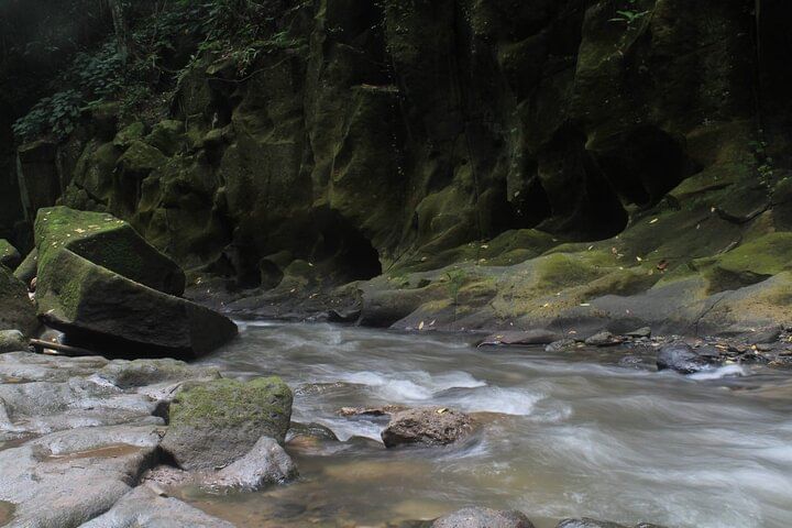 Discover Nature of Bali