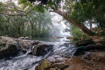 Active Trekking With Knuckles Mountain