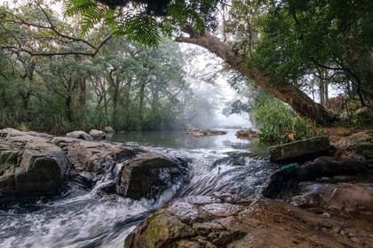 Active Trekking With Knuckles Mountain