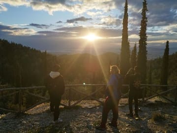 Magnificent Sunset