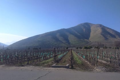 Private Maipo Valley Wine Experience from Santiago