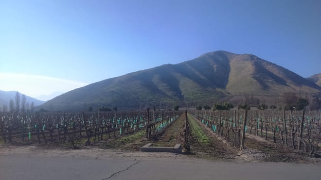 Private Maipo Valley Wine Experience from Santiago 4