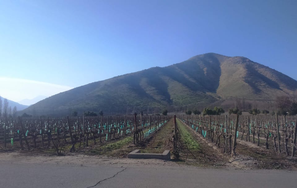 Private Wine Tour in Maipo Valley from Santiago