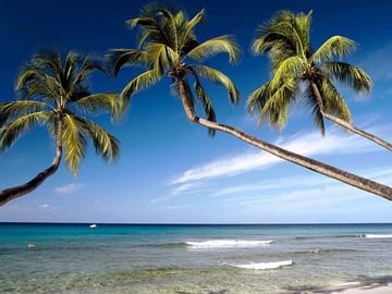 10-Day Cultural and Beach Tour of Sri Lanka's Coastline