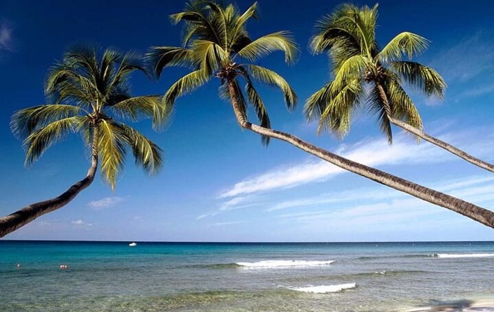 Take a 10 days vacation around Sri Lanka with an amazing beach experience