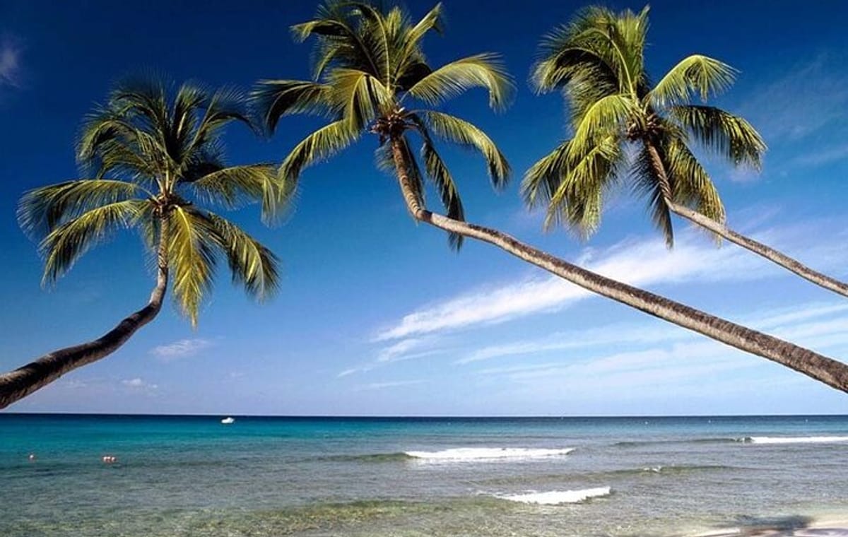 Take a 10 days vacation around Sri Lanka with an amazing beach experience