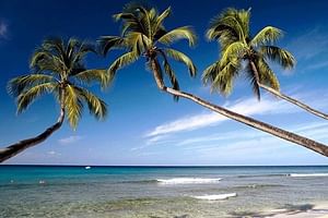 Take a 10 days vacation around Sri Lanka with an amazing beach experience