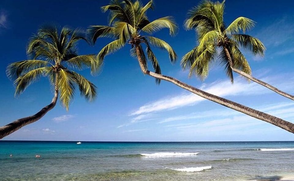 10-Day Cultural and Beach Tour of Sri Lanka's Coastline