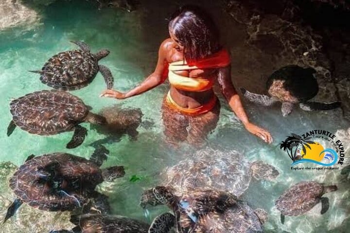 Zanzibar Spice Tour with Local Food