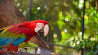 07 Day Nature & Wildlife Tour  In Sri Lanka 4