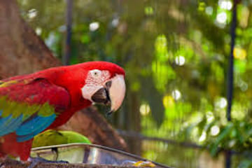 07 Day Nature & Wildlife Tour  In Sri Lanka