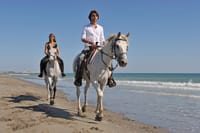 Antalya: Forest Horseback Riding with Lara Beach Photo Stop 4