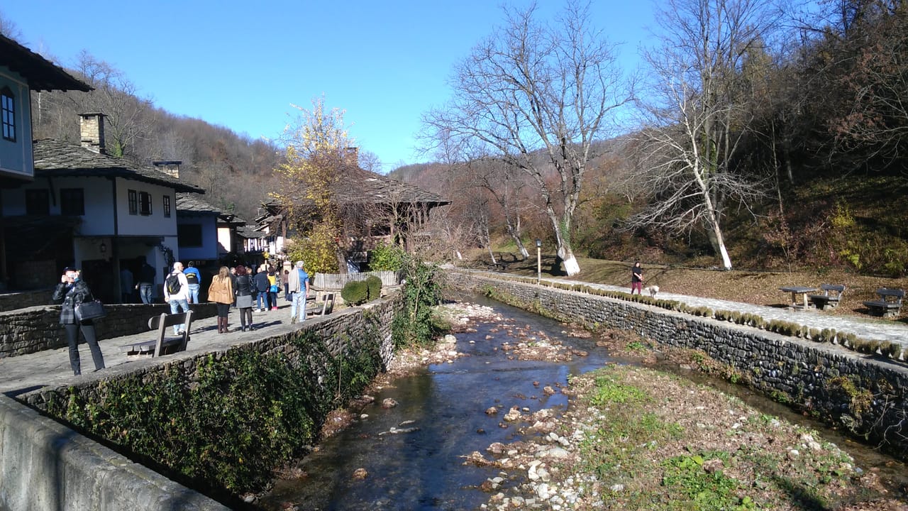 Skip the Line: Tour in Open Air Ethnographic Museum ETAR + ticket 6