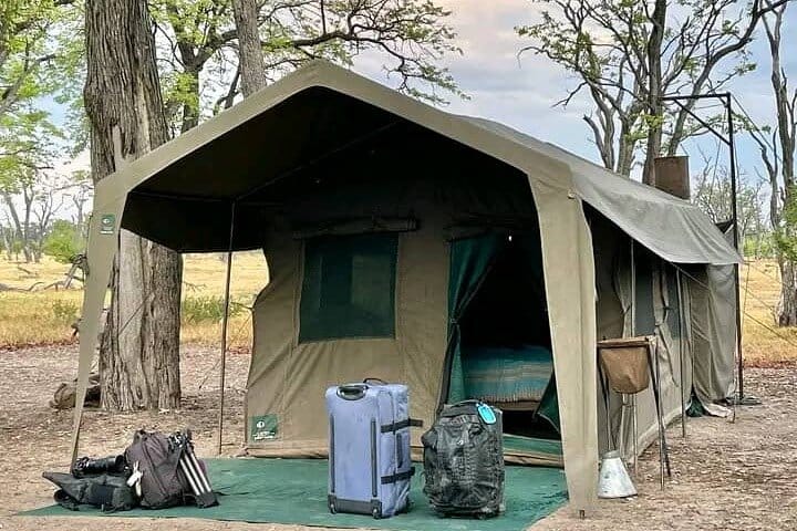 2-Day Wilderness Adventure: Overnight Camping in Chobe Park