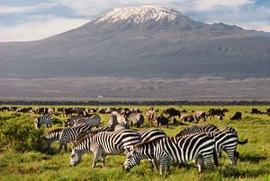 Jan-March, June-Oct 2024 ~ Kilimanjaro via Lemosho Route ~ Guided *TREK ~ CLIMB* 