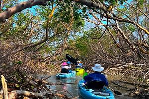 Elite Hobie Kayak Experience: Ultimate Premium Eco Adventure!