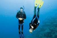 Scuba Diving Trip Hurghada