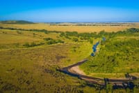 1-Day Maasai Mara Fly In Safari - Daily Departure 7