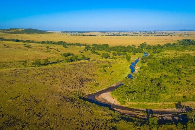 1-Day Maasai Mara Fly In Safari - Daily Departure 7