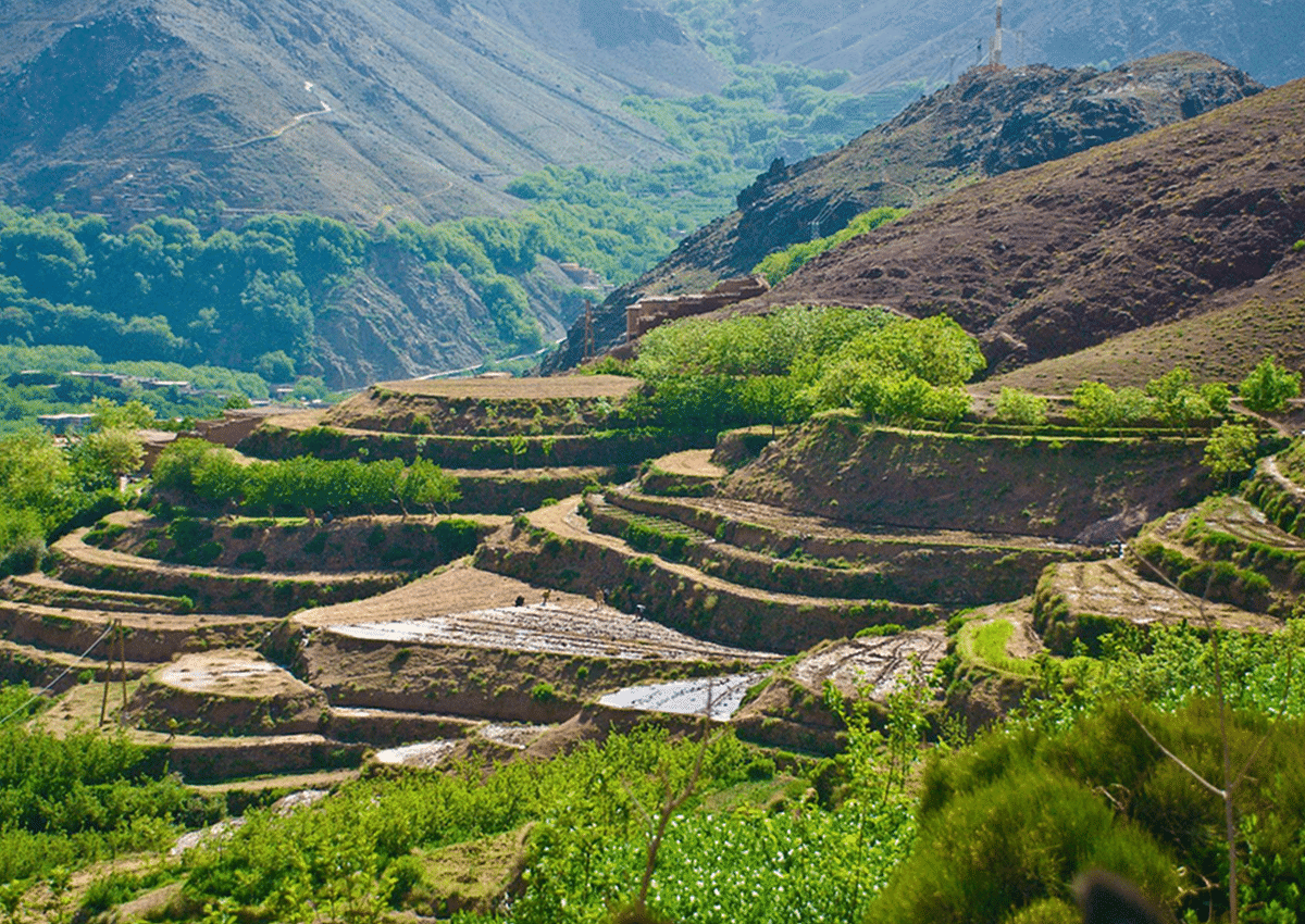 Private Day Trip to the Atlas Mountains and Imlil from Marrakech