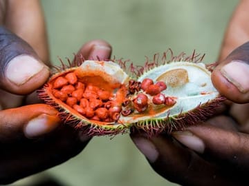 Zanzibar Spice tour with Local Food + Stone Town City Tour