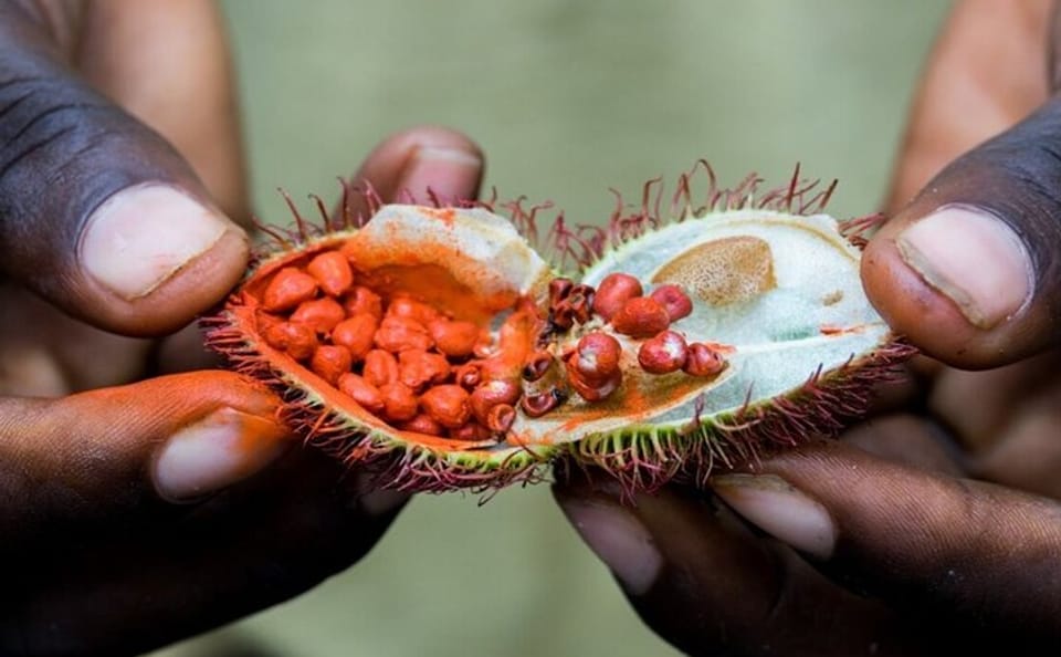 Zanzibar Spice tour with Local Food + Stone Town City Tour