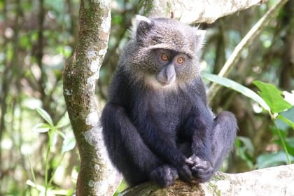 Manyara and Ngorongoro Crater
