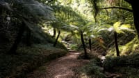 Private Coimbra & Buçaco Tour with Forest Walk & Palace 6