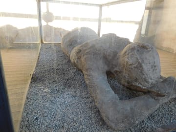 <p>Man trapped under Volcanic Ash / Preserved from 79 A.D.</p>