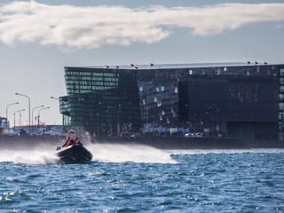 Reykjavík Premium Whale Watching, photo 26
