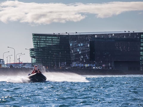 Reykjavík Premium Whale Watching, photo 26