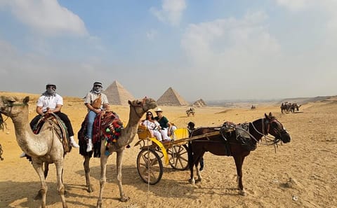 Cultural Day Tour of Giza Pyramids and Egyptian Museum