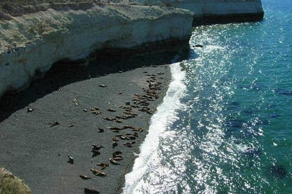 City Tour and Sea Lions at Punta Loma from Puerto Madryn
