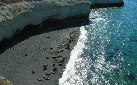 Punta Loma Sea Lion Viewing and City Tour from Puerto Madryn