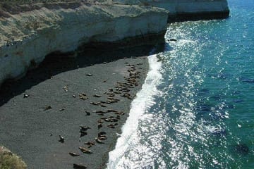 Punta Loma Sea Lion Viewing and City Tour from Puerto Madryn