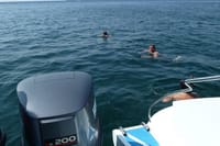 Explore Krabi’s 4 Islands by Speedboat – Full Day Tour 5